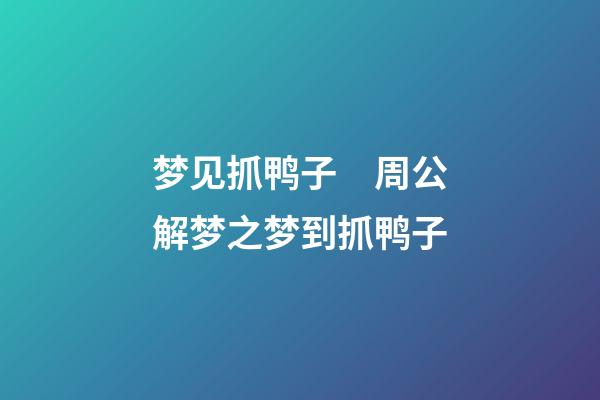 梦见抓鸭子　周公解梦之梦到抓鸭子